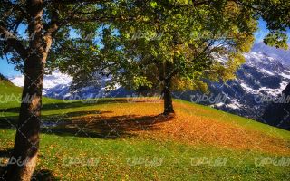 تصویر با کیفیت منظره زیبای پاییزی به همراه کوهستان برفی