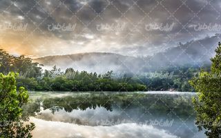 تصویر با کیفیت منظره زیبای دریاچه به همراه جنگل و مه