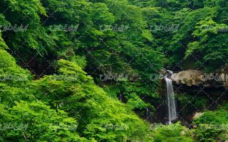 تصویر با کیفیت منظره زیبای آبشار به همراه جنگل انبوه