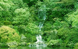 تصویر با کیفیت منظره زیبای آبشار به همراه جنگل زیبا