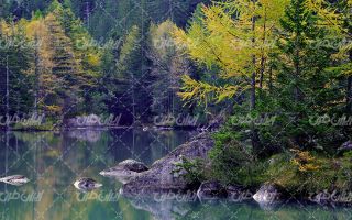 تصویر با کیفیت منظره زیبای دریاچه به همراه جنگل و درخت