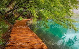 تصویر با کیفیت منظره زیبای دریاچه همراه با درخت و راه چوبی