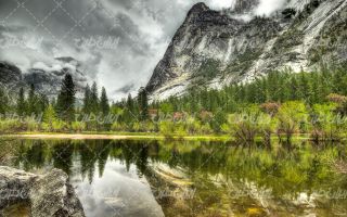تصویر با کیفیت منظره زیبای دریاچه همراه با کوه و درخت