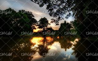 تصویر با کیفیت منظره غروب خورشید همراه با دریاچه و درخت