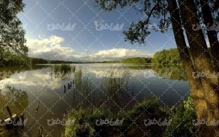 تصویر با کیفیت منظره دریاچه همراه با آسمان آبی و درخت