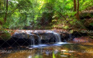 تصویر با کیفیت منظره آبشار همراه با درخت و جنگل