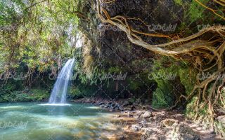 تصویر با کیفیت منظره آبشار همراه با صخره و ریشه درخت