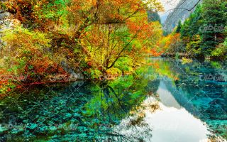 تصویر با کیفیت منظره فصل پاییز همراه با رودخانه و درختان