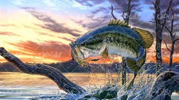 تصویر با کیفیت ماهی به همراه دریاچه و کنده درخت فرو رفته در آب