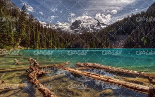 تصویر با کیفیت دریاچه به همراه قله کوه برفی و جنگل انبوه