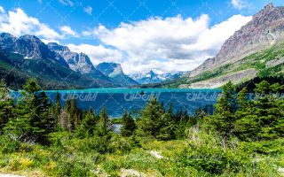 تصویر با کیفیت دریاچه به همراه آسمان آبی و جنگل انبوه