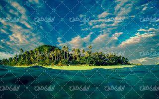 تصویر با کیفیت جزیره زیبا به همراه درخت و ساحل دریا