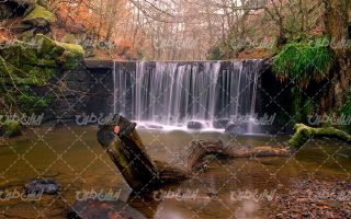 تصویر با کیفیت منظره آبشار زیبا به همراه درخت و چشم انداز طبیعت