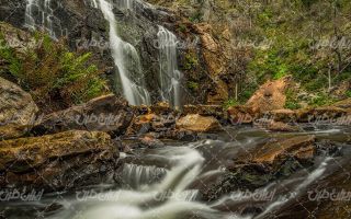 تصویر با کیفیت منظره زیبای آبشار به همراه درخت و چشم انداز طبیعت
