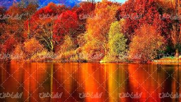 تصویر با کیفیت چشم انداز منظره پاییز به همراه دریاچه و فصل پاییز