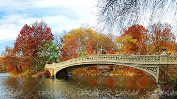 تصویر با کیفیت منظره زیبای فصل پاییز به همراه دریاچه و پل