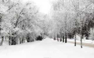 تصویر با کیفیت چشم انداز زیبای برفی به همراه منظره زیبا و طبیعت