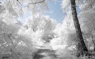 تصویر با کیفیت چشم انداز زیبای طبیعت زمستان به همراه منظره زیبا و طبیعت