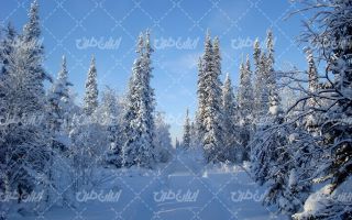 تصویر با کیفیت چشم انداز زیبای طبیعت زمستان به همراه منظره زیبا و طبیعت