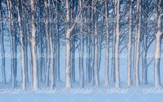 تصویر با کیفیت فصل زمستان به همراه منظره زیبا و طبیعت برفی