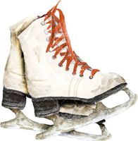 کفش اسکی روی یخ