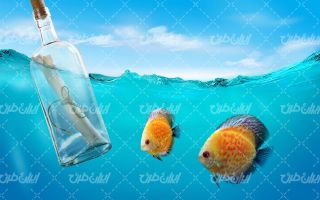 تصویر با کیفیت ماهی به همراه بطری شیشه ای نامه و آب دریا