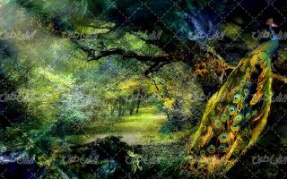 تصویر با کیفیت منظره زیبای جنگل به همراه طاوس و نقاشی طبیعت