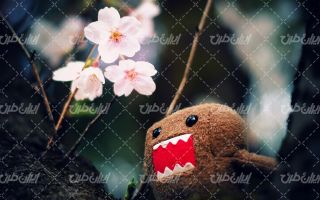تصویر با کیفیت شکوفه بهاری به همراه فصل بهار و عروسک پارچه ای
