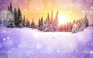 تصویر با کیفیت فصل زمستان به همراه منظره زیبای غروب خورشید و برف