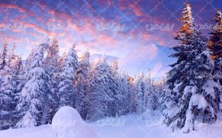 تصویر با کیفیت چشم انداز زیبای غروب آفتاب به همراه برف و طبیعت
