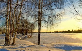 تصویر با کیفیت منظره زمستان به همراه فصل زمستان و چشم انداز طبیعت