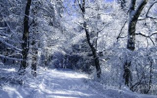 تصویر با کیفیت منظره زیبای فصل زمستان به همراه فصل زمستان و چشم انداز برفی