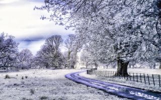 تصویر با کیفیت طبیعت زیبای زمستان به همراه برف و طبیعت برفی