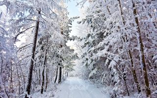 تصویر با کیفیت طبیعت زیبای زمستان به همراه برف و طبیعت برفی