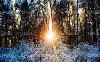تصویر با کیفیت منظره غروب آفتاب به همراه برف و طبیعت برفی