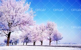 تصویر با کیفیت منظره زمستانی به همراه برف و طبیعت برفی