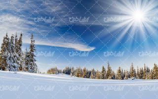 تصویر با کیفیت طبیعت برفی زمستان به همراه برف و طبیعت برفی