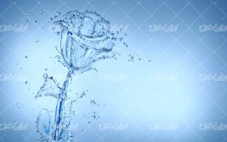 تصویر با کیفیت گل آبی همراه با تصویر زمینه و بک گراند