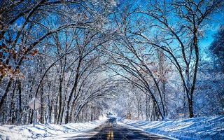 تصویر با کیفیت چشم انداز طبیعت زمستان به همراه برف و منظره برفی