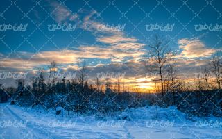 تصویر با کیفیت چشم انداز طبیعت زمستان به همراه برف و منظره برفی