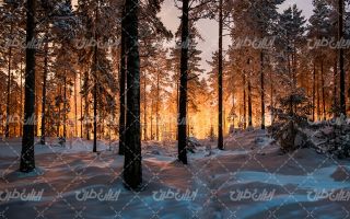تصویر با کیفیت منظره زیبای طبیعت زمستان به همراه برف و منظره برفی