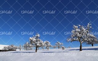 تصویر با کیفیت منظره زیبای کوهستان برفی به همراه برف و منظره برفی