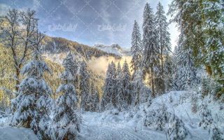 تصویر با کیفیت چشم انداز همراه با منظره و چشم انداز زیبای فصل زمستان