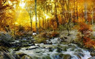تصویر با کیفیت چشم انداز همراه با منظره و چشم انداز زیبای فصل پاییز