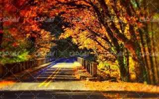 تصویر با کیفیت چشم انداز همراه با منظره و چشم انداز زیبای فصل پاییز