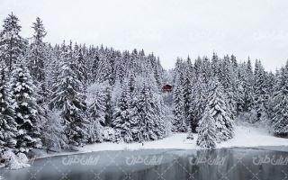 تصویر با کیفیت چشم انداز برفی زمستان به همراه برف و منظره برفی