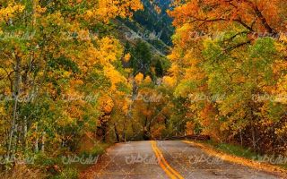 تصویر با کیفیت طبیعت زیبا همراه با منظره و چشم انداز زیبای فصل پاییز