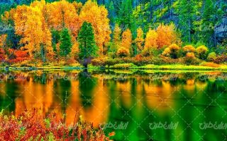 تصویر با کیفیت چشم انداز زیبای فصل پاییز همراه با منظره و طبیعت زیبا