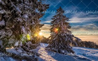 تصویر با کیفیت چشم انداز زمستان همراه با منظره و طبیعت زیبا
