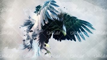 تصویر با کیفیت نقاشی عقاب به همراه پرنده شکاری و نقاشی